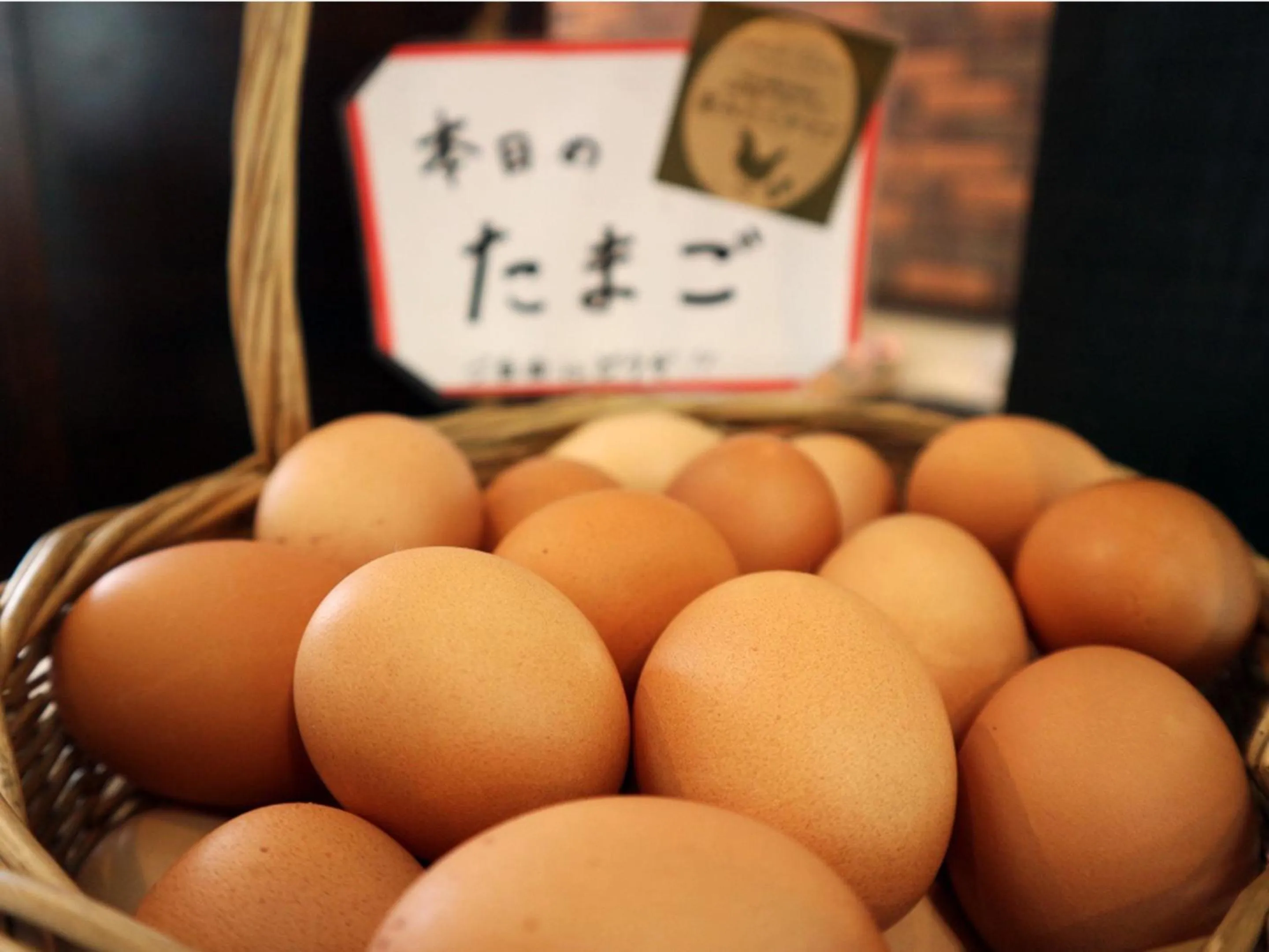 Food and drinks in Tokachi Nakasatsunai Glamping Resort Feriendorf