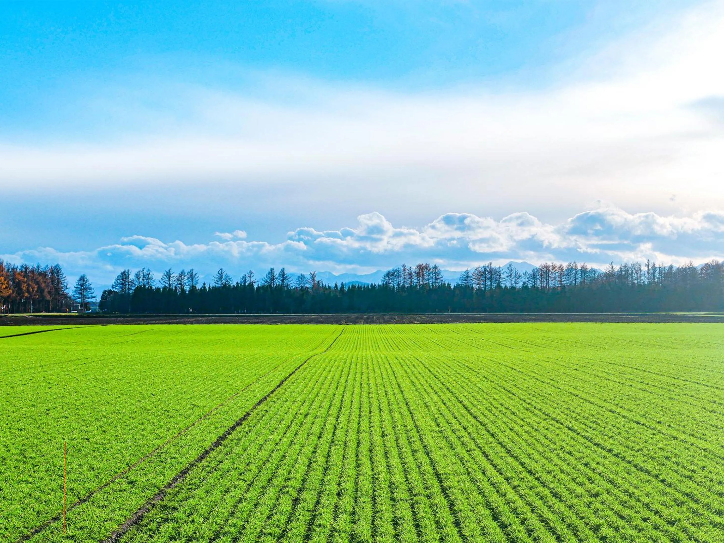 Day in Tokachi Nakasatsunai Glamping Resort Feriendorf