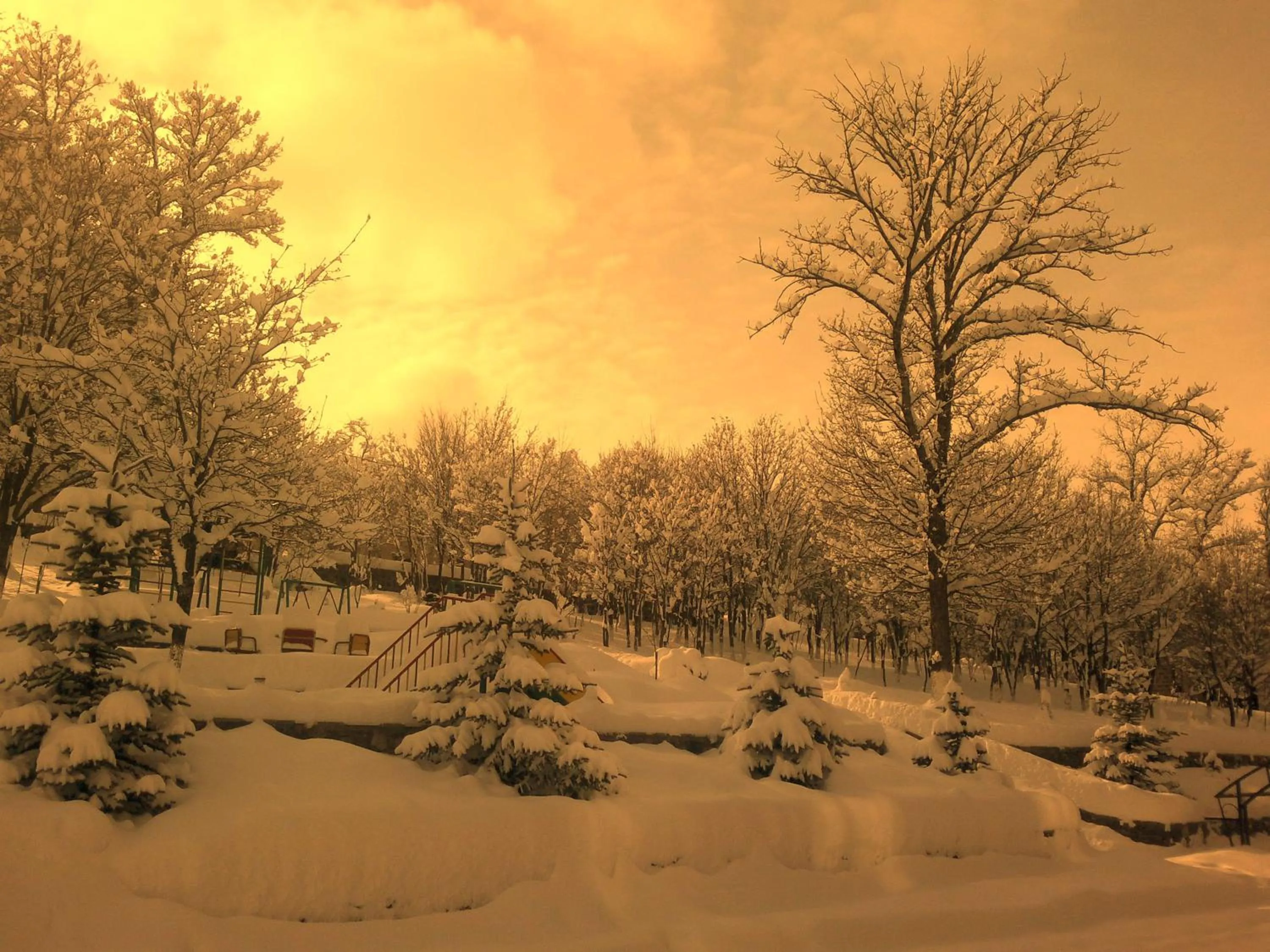 Natural landscape in Alpina Resort by Stellar Hotels, Tsaghkadzor