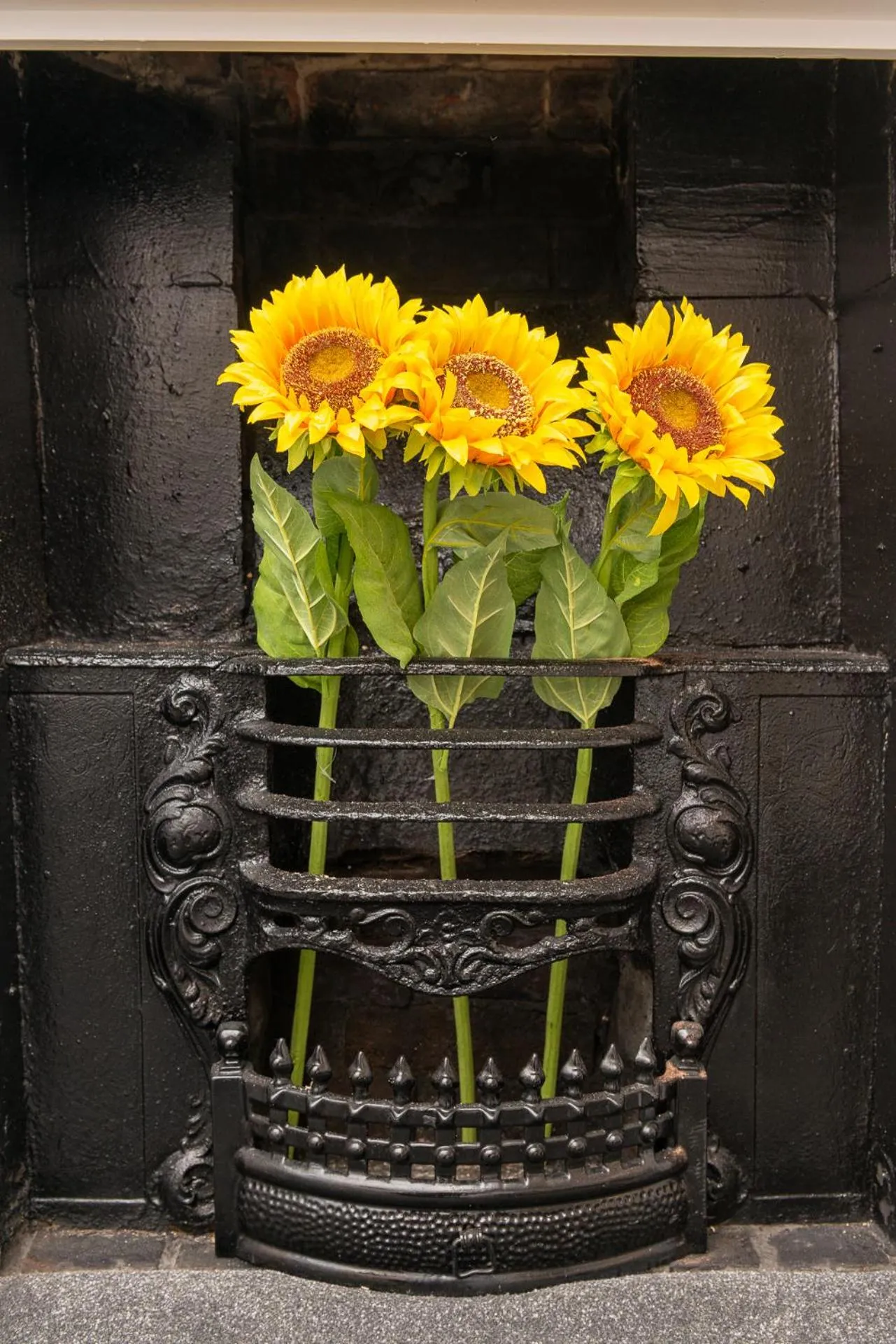 flat iron in Bosuns Chair