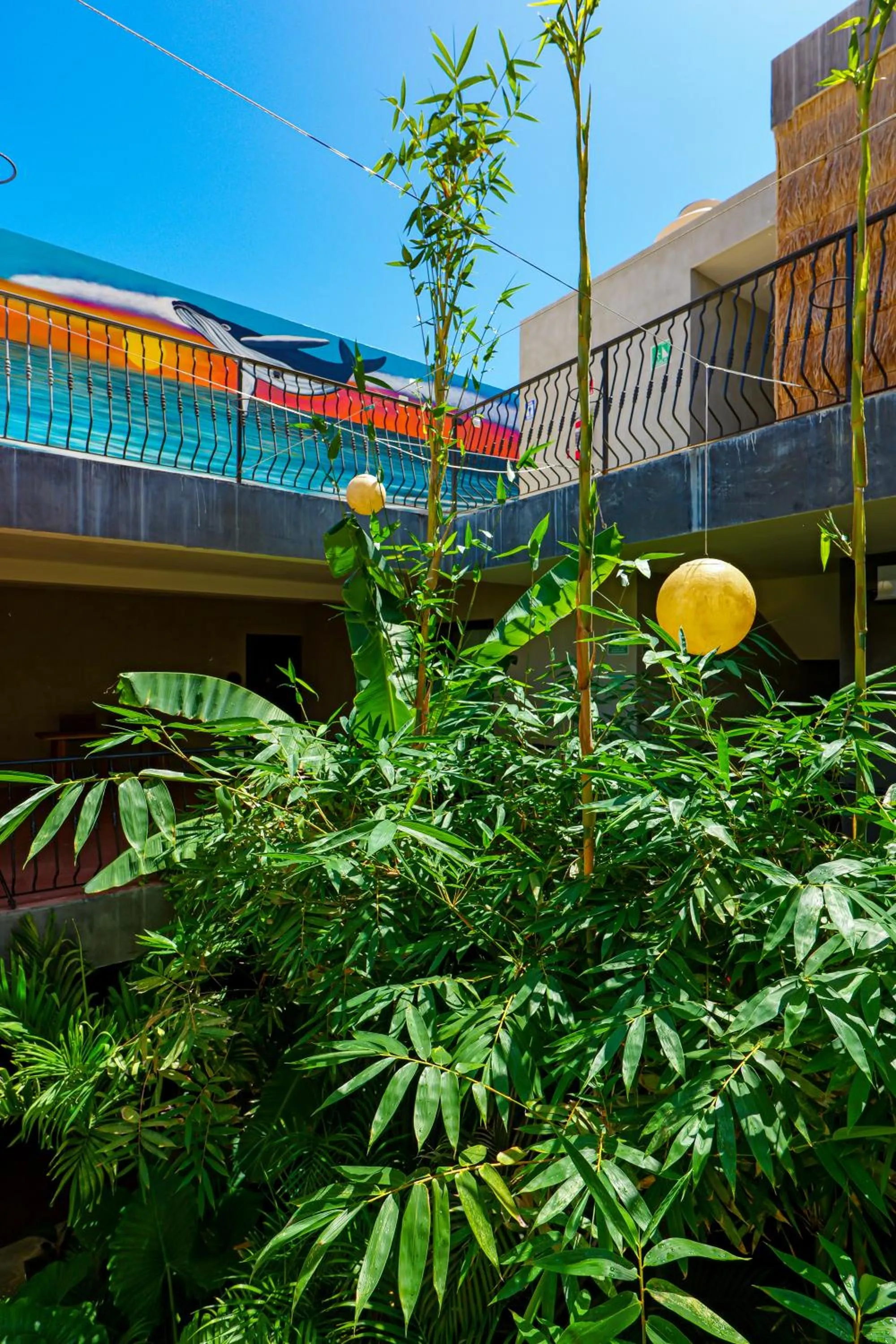 Balcony/Terrace in Calea Tulum Boutique Hotel