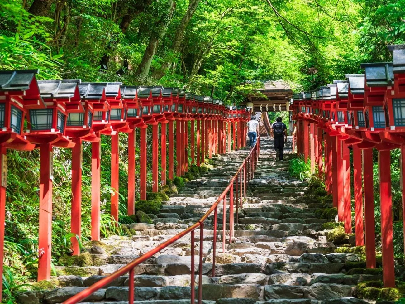 Nearby landmark in Giappo Franca Kyoto
