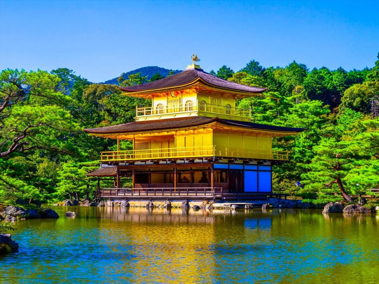 Nearby landmark in Giappo Franca Kyoto