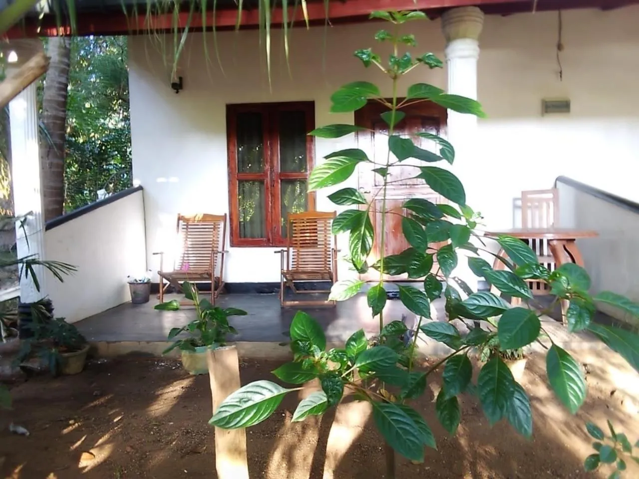 Patio in THE NEVANS SIGIRIYA