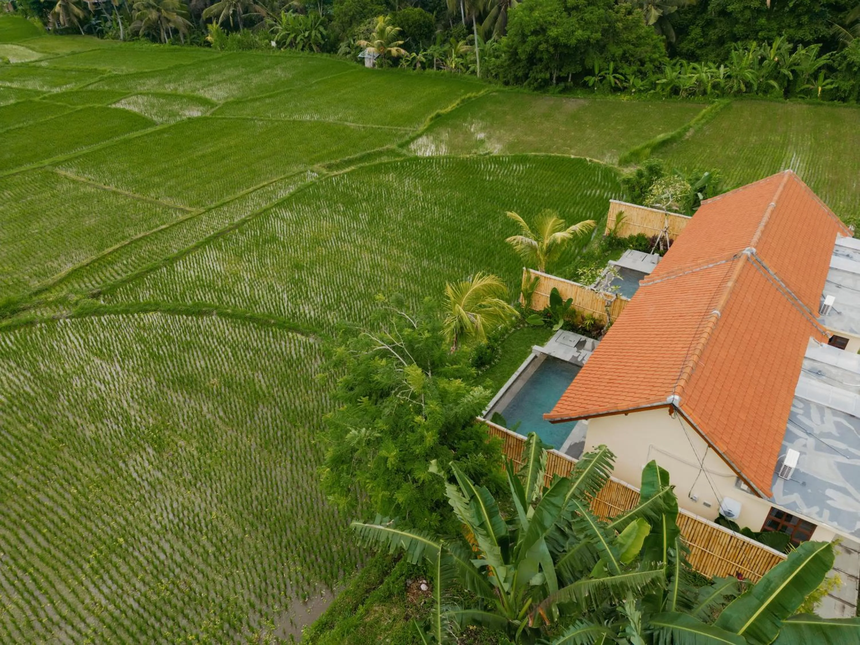 View (from property/room) in Uma Rimbun Pool Villa