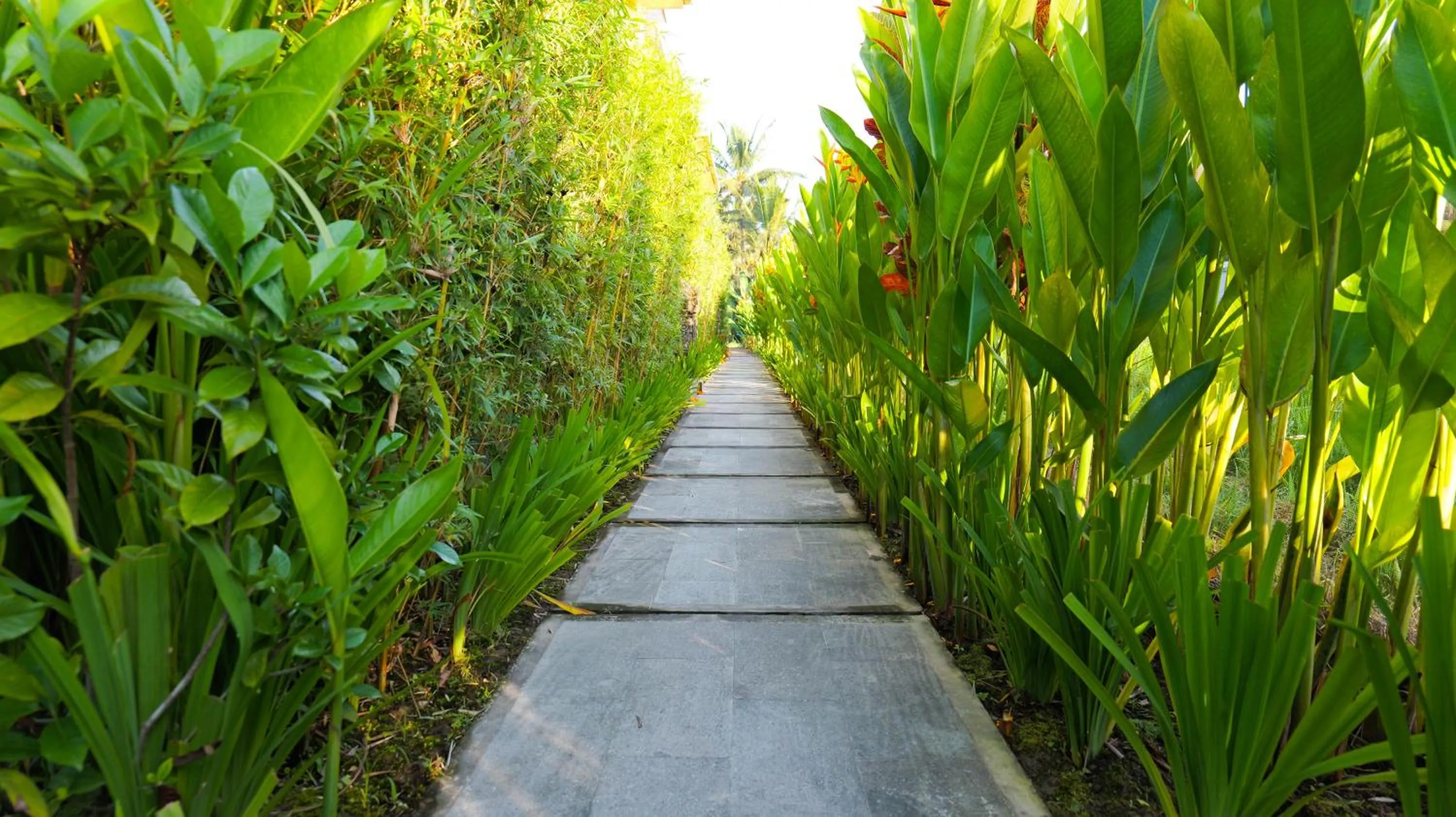 Spring in Uma Rimbun Pool Villa