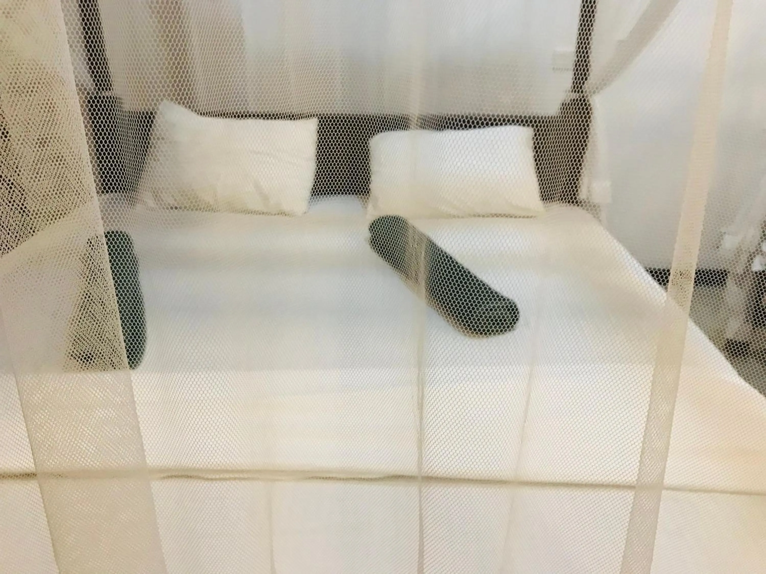 Bed in Sea Glow - Tangalle