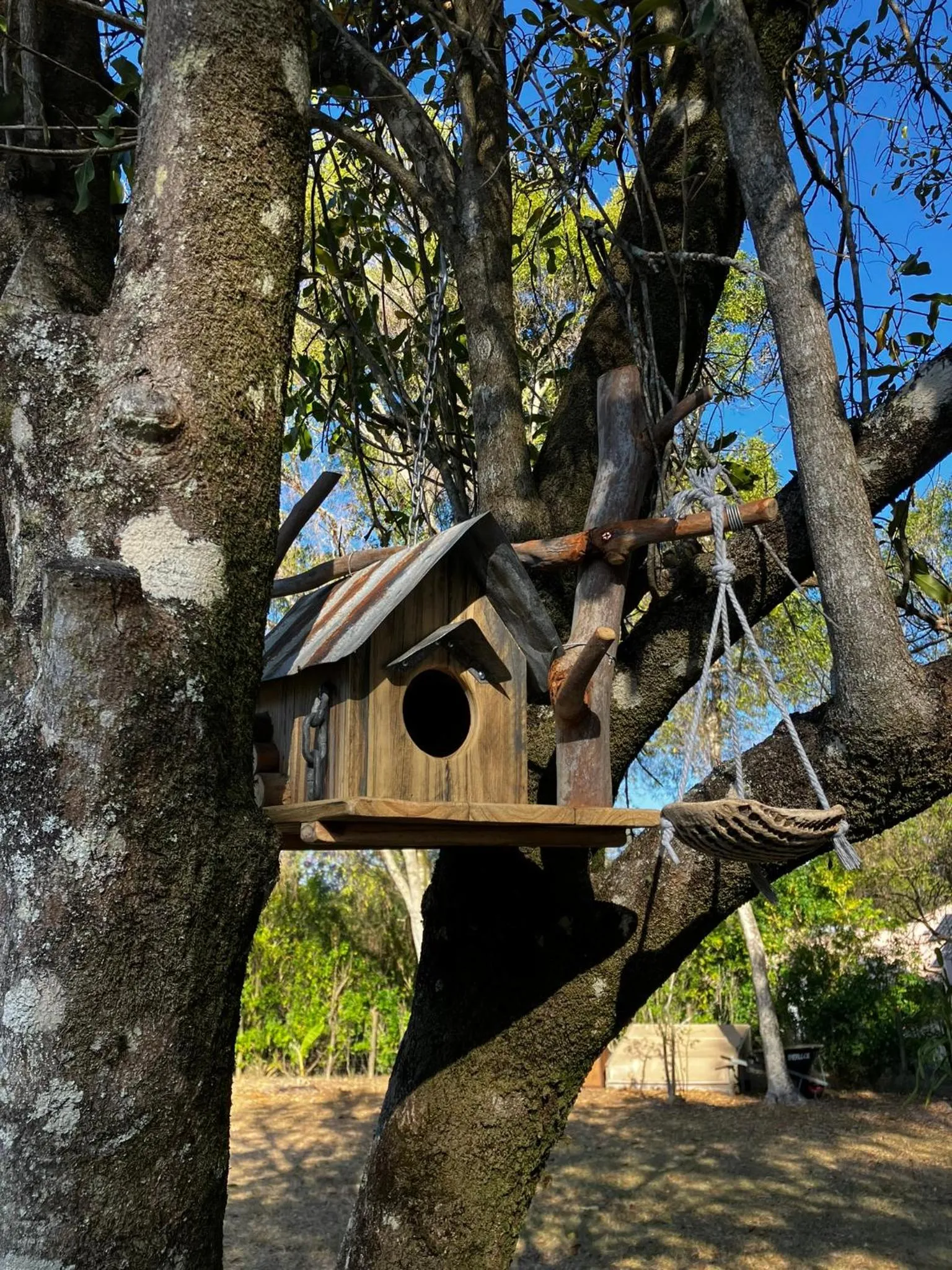 Garden in Noosa Hinterland Escape