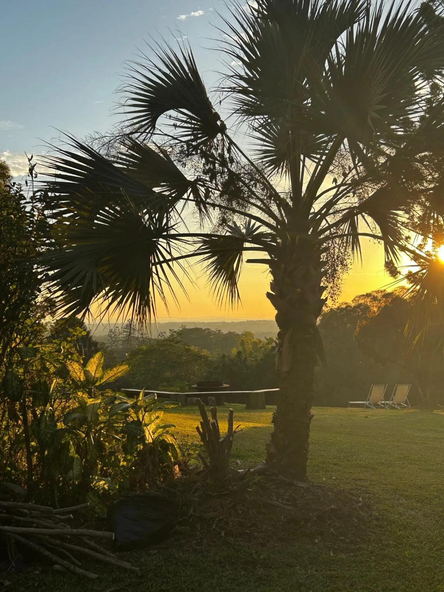 Day in Noosa Hinterland Escape