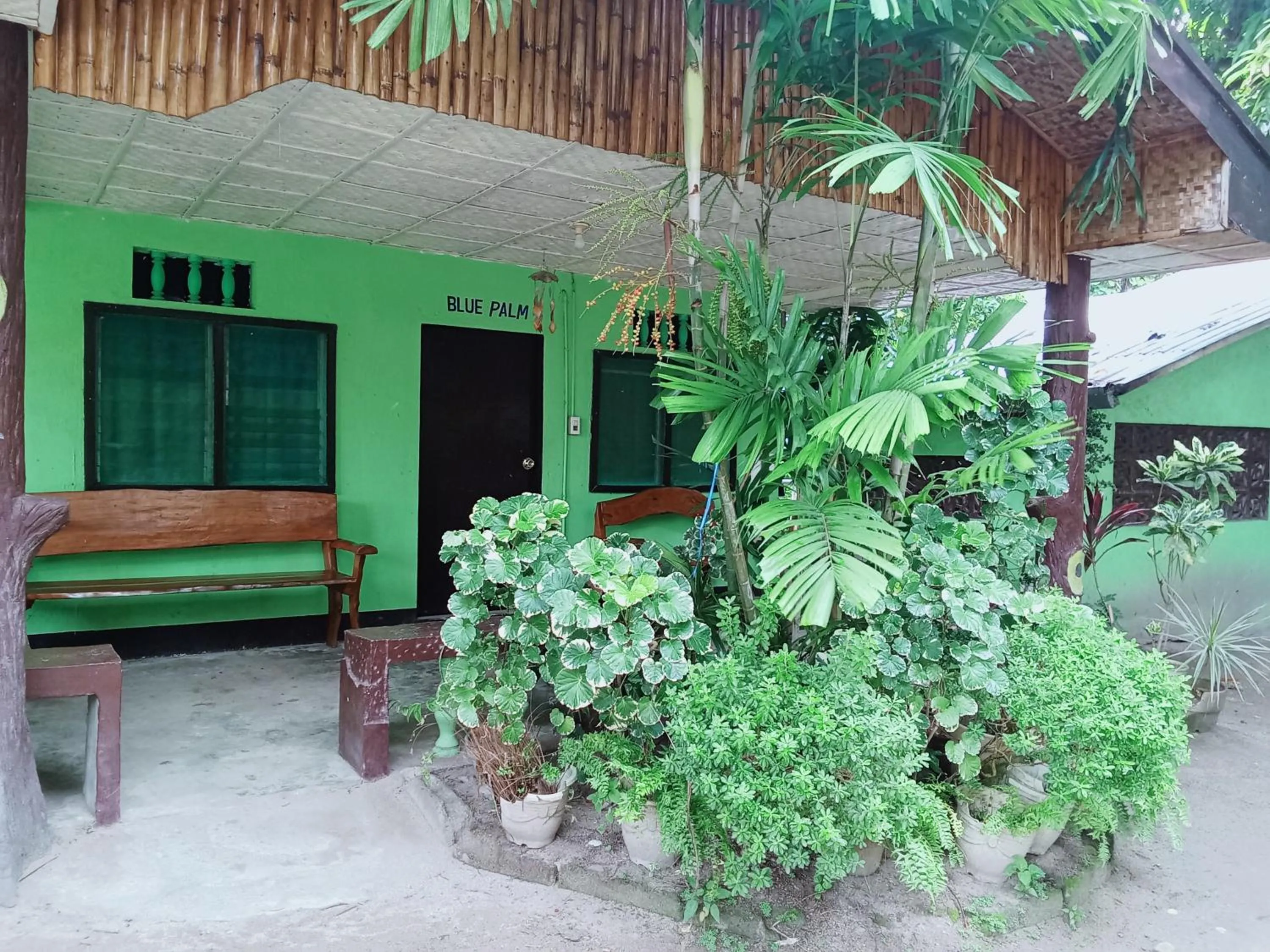 Garden view in Palm Garden Resort