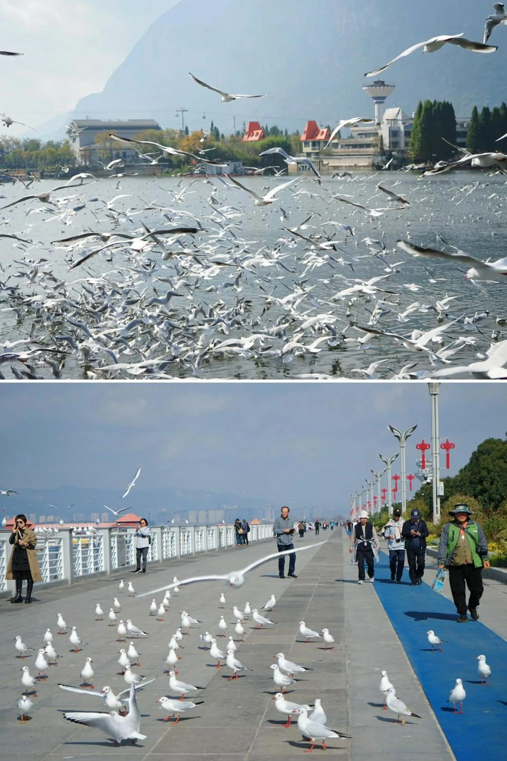 Natural landscape in Nostalgia S Hotel Kunming Old Street
