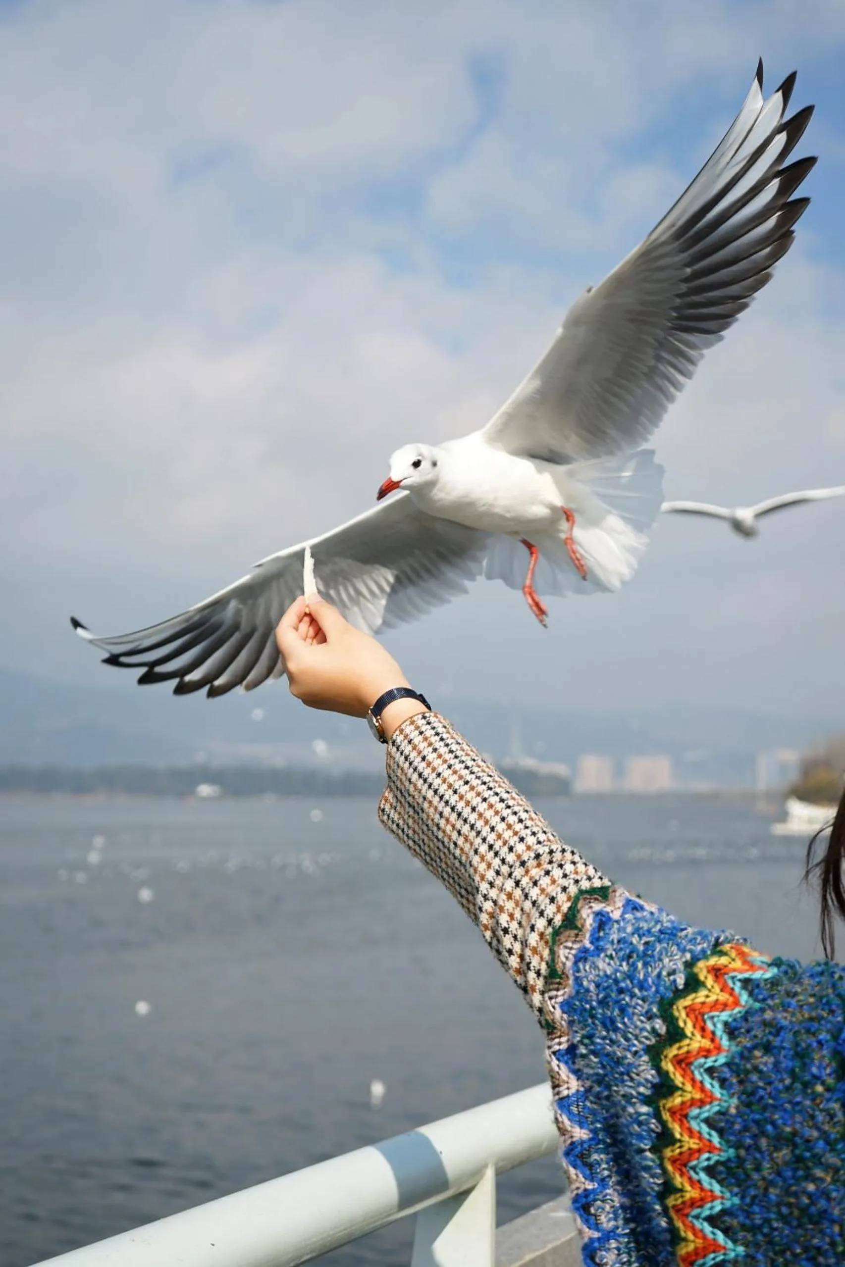 Natural landscape in Nostalgia S Hotel Kunming Old Street