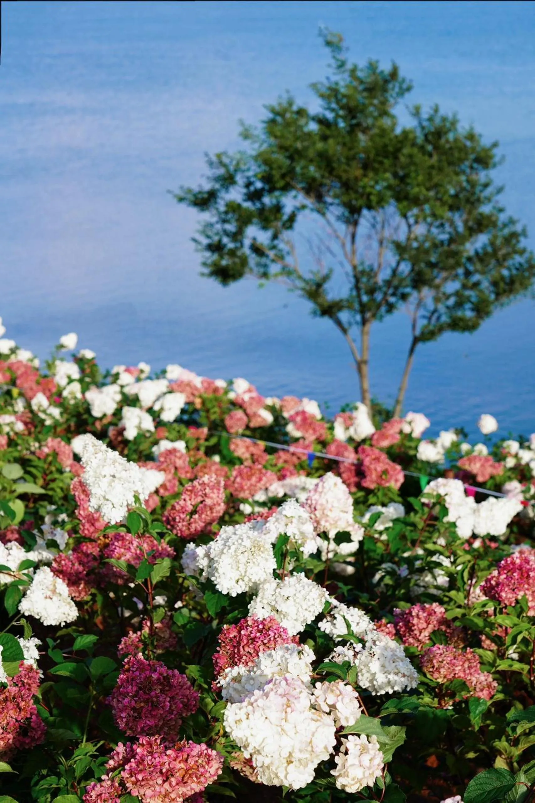 Natural landscape in Nostalgia S Hotel Kunming Old Street