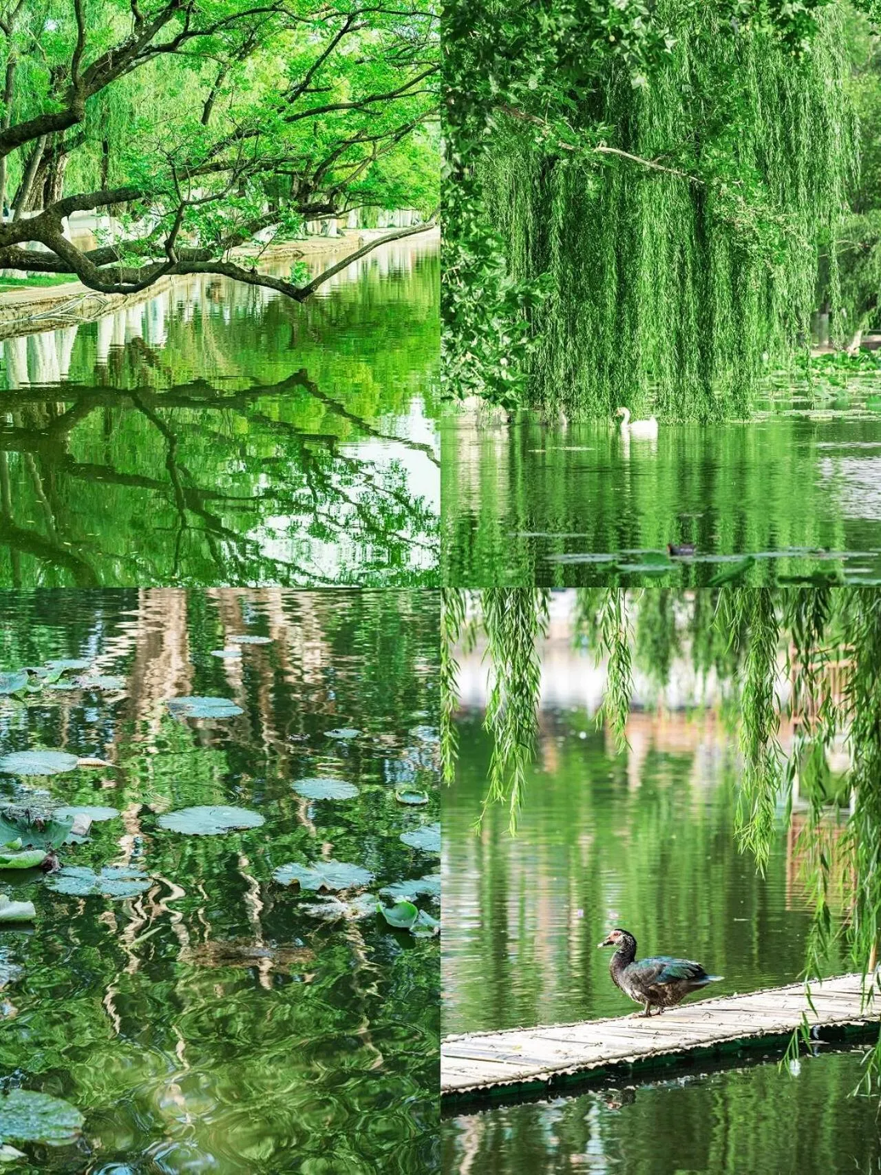 Natural landscape in Nostalgia S Hotel Kunming Old Street