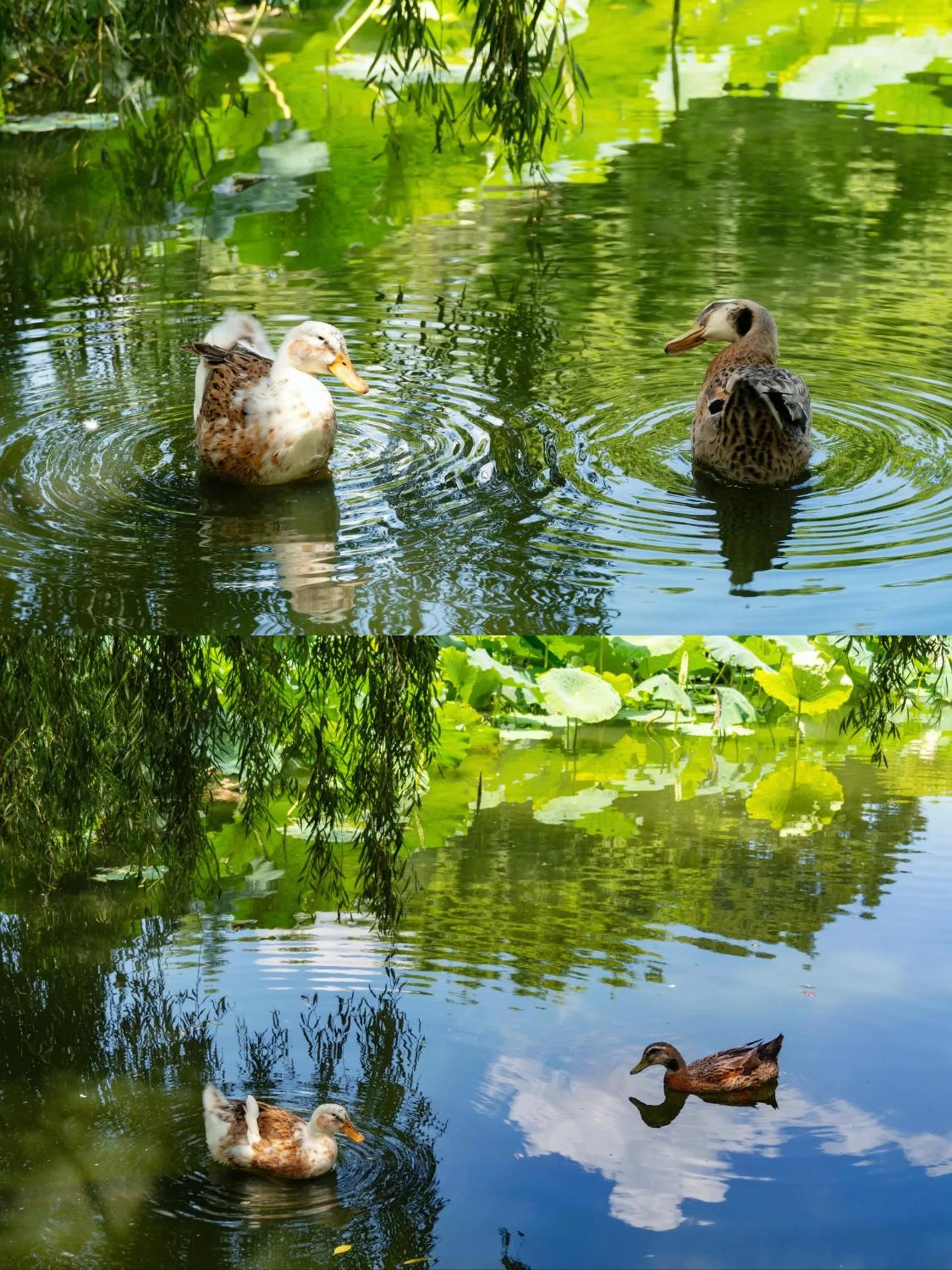 Natural landscape in Nostalgia S Hotel Kunming Old Street