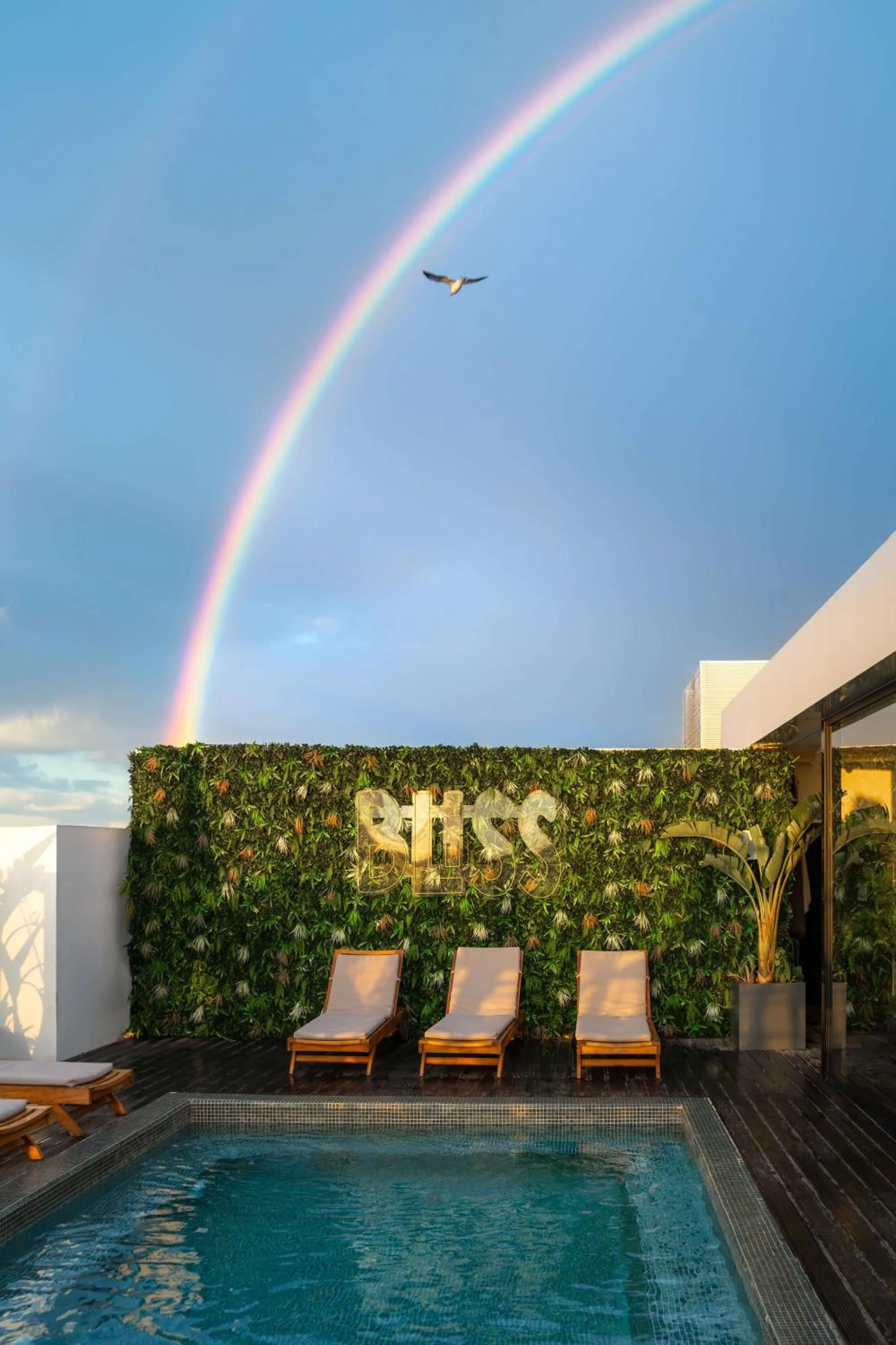 Pool view in Radisson Hotel Casablanca Gauthier La Citadelle