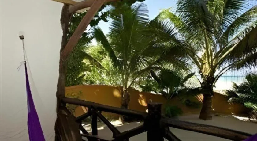 La Palapa Ethno Chic Hotel