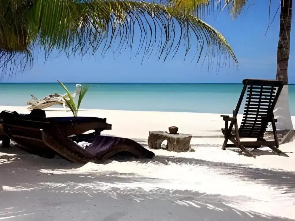 La Palapa Ethno Chic Hotel La Palapa Ethno Chic Hotel