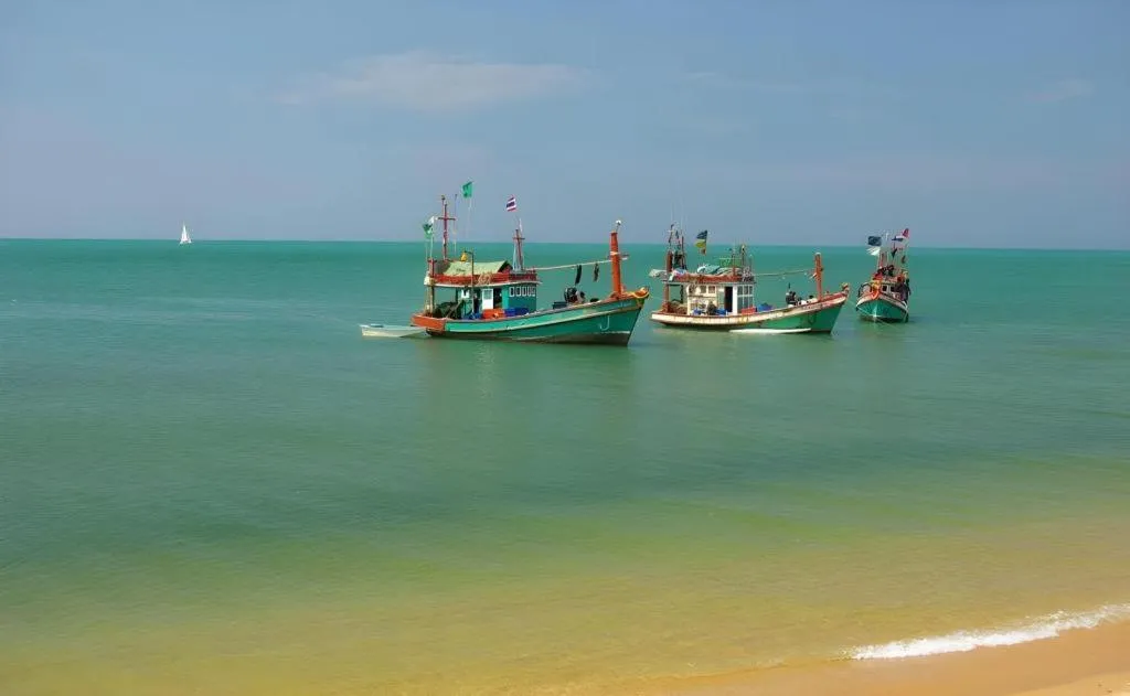 Sea Falcon on the Water