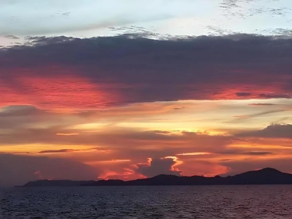 Sea Falcon on the Water
