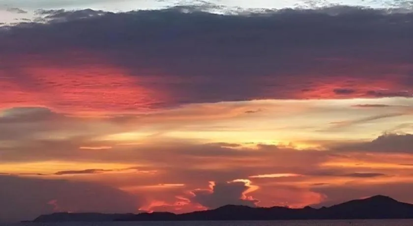 Sea Falcon on the Water