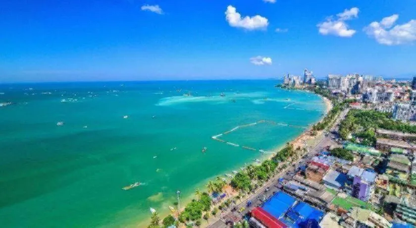 Sea Falcon on the Water