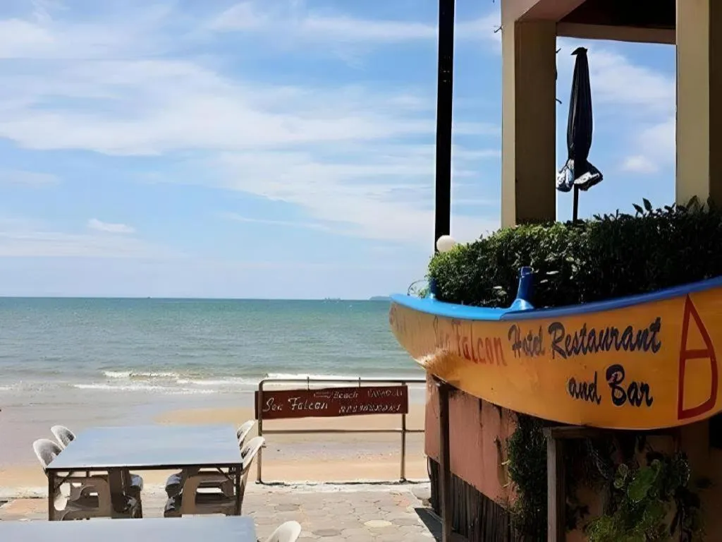 Sea Falcon on the Water