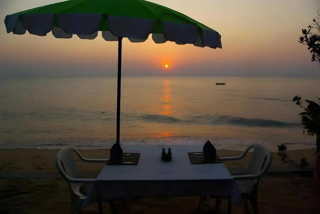 Sea Falcon on the Water