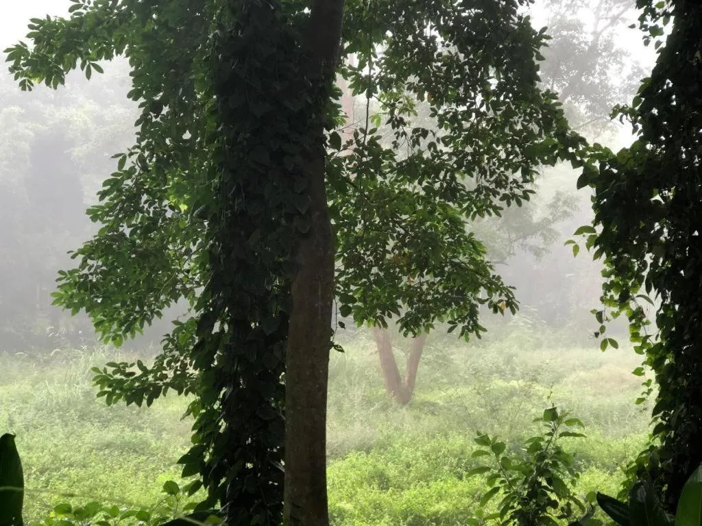 Khun Nai Tern Sai Hotel