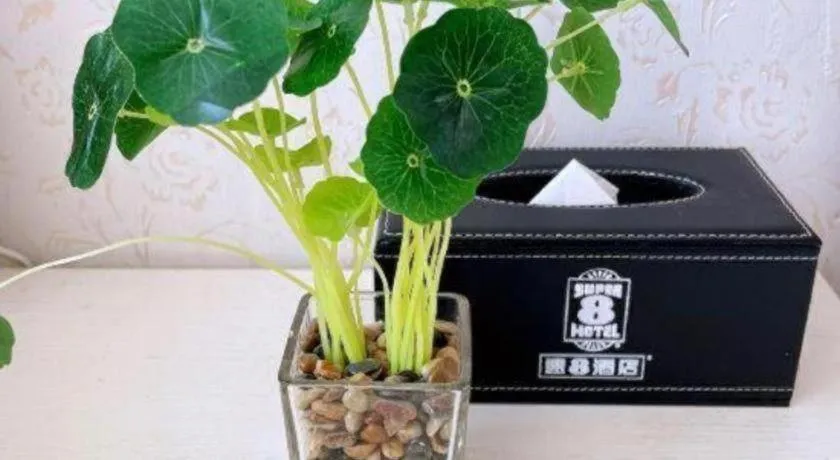 Super 8 Hotel Xiamen Railway Station