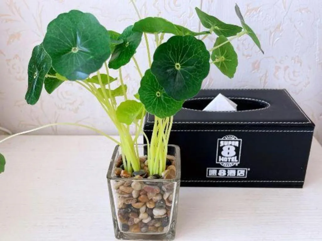 Super 8 Hotel Xiamen Railway Station