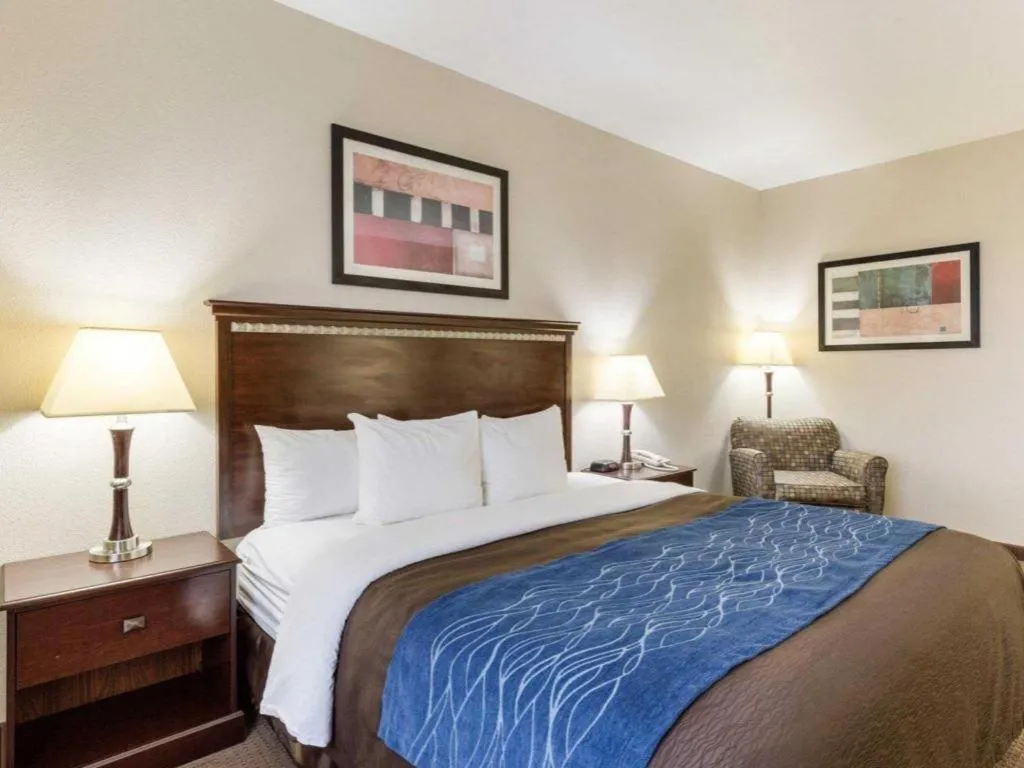 Bed in Comfort Inn & Suites Winnie