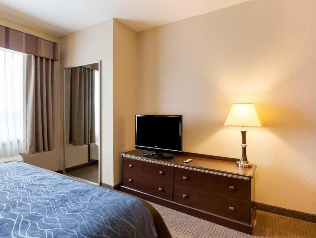 Bed in Comfort Inn & Suites Winnie