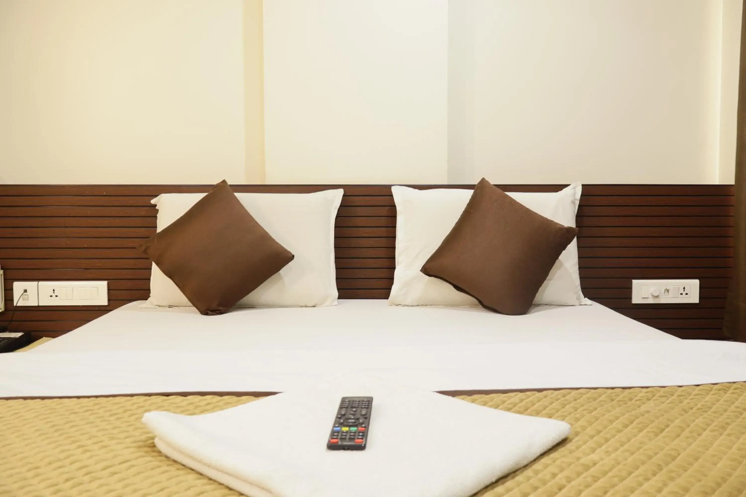 Superior Double Room - single occupancy in Hotel Kabir Superior Double Room - single occupancy in Hotel Kabir