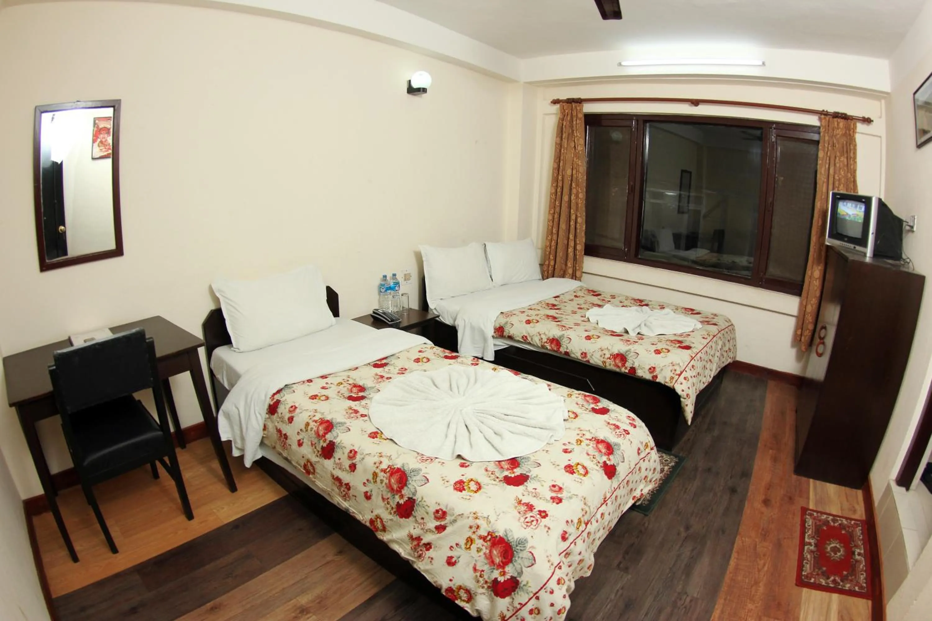 Photo of the whole room, Bed in Bag Packer's Lodge