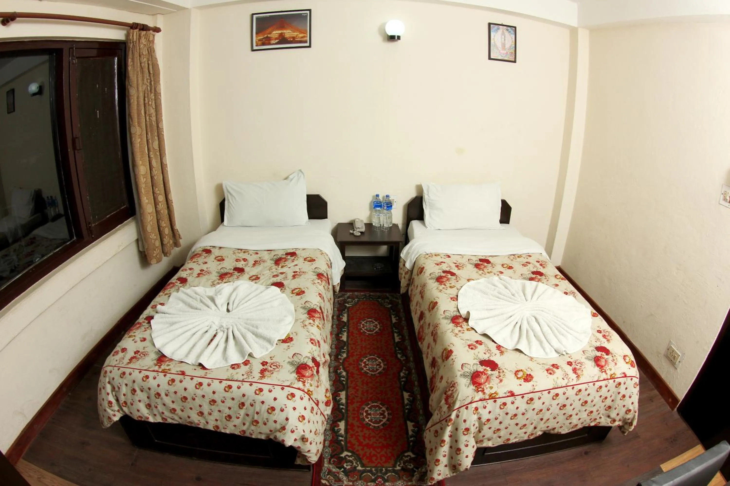 Photo of the whole room, Bed in Bag Packer's Lodge