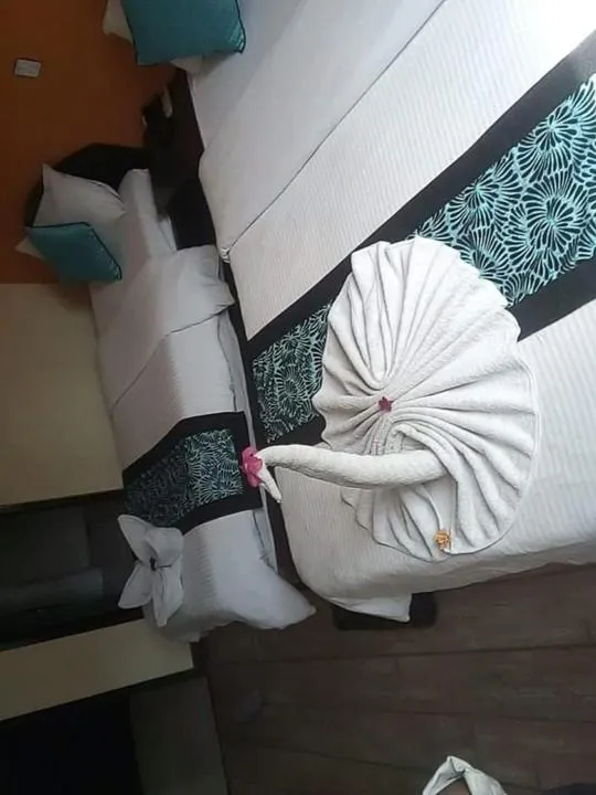 Photo of the whole room, Bed in Bag Packer's Lodge