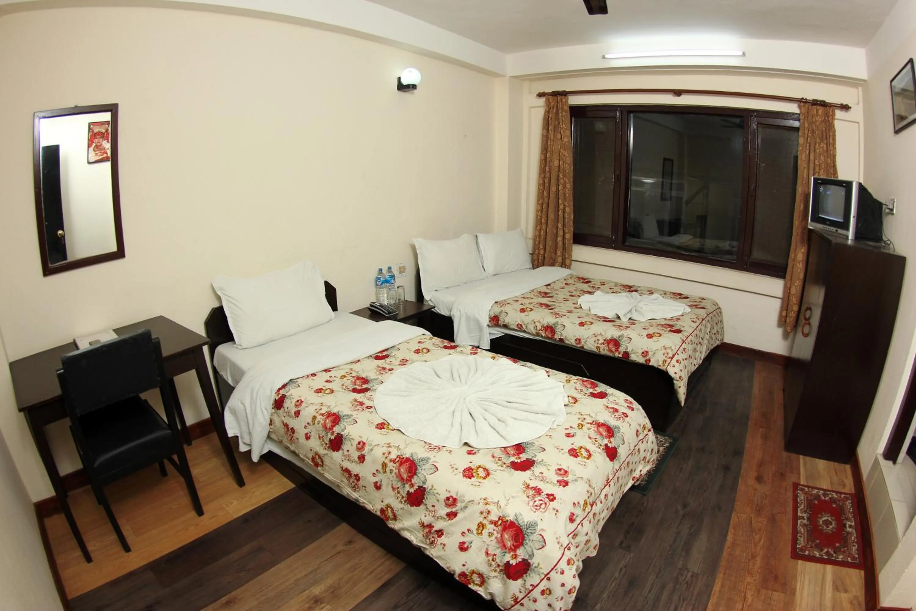 Photo of the whole room, Bed in Bag Packer's Lodge