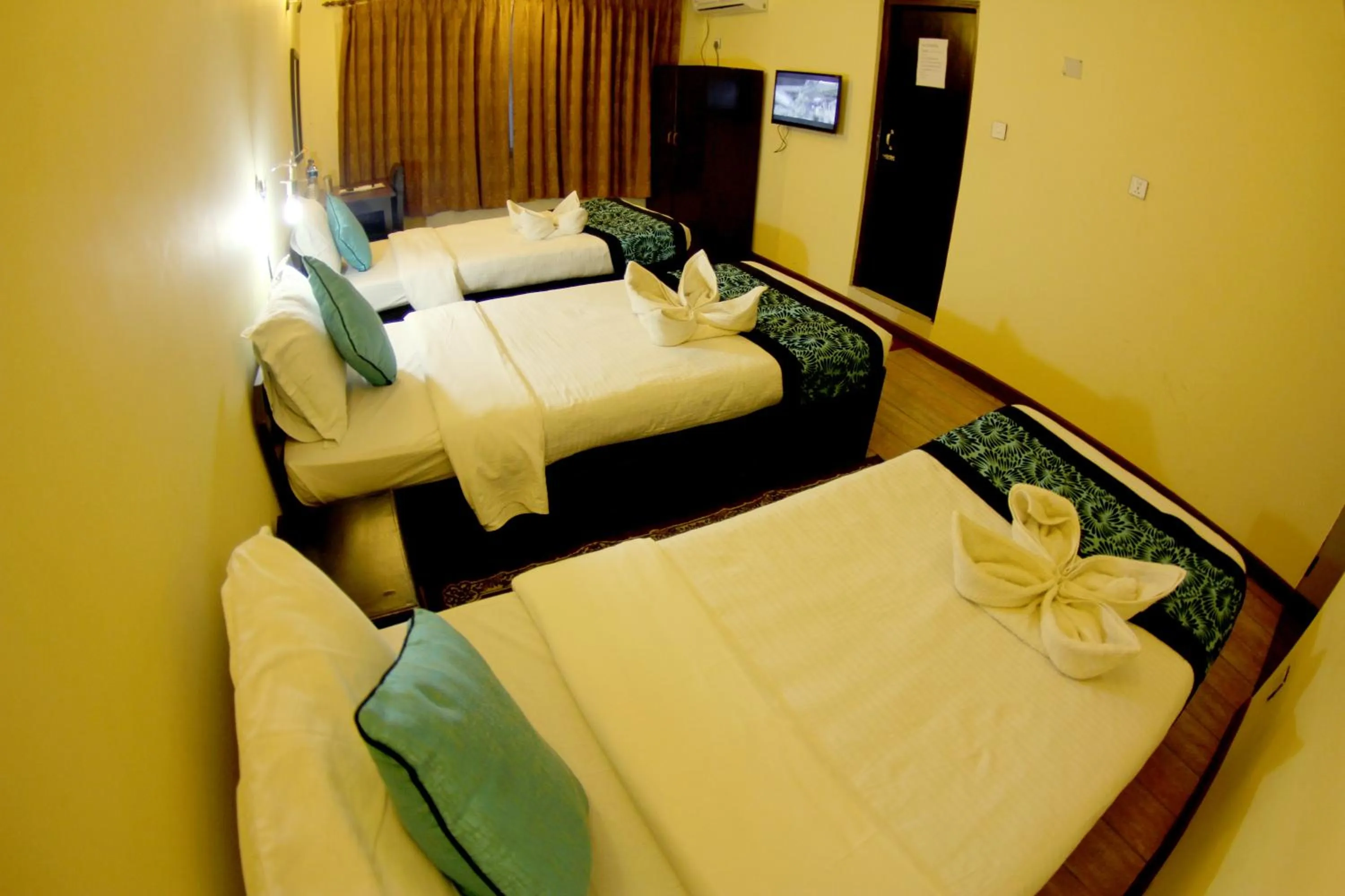 Photo of the whole room, Bed in Bag Packer's Lodge