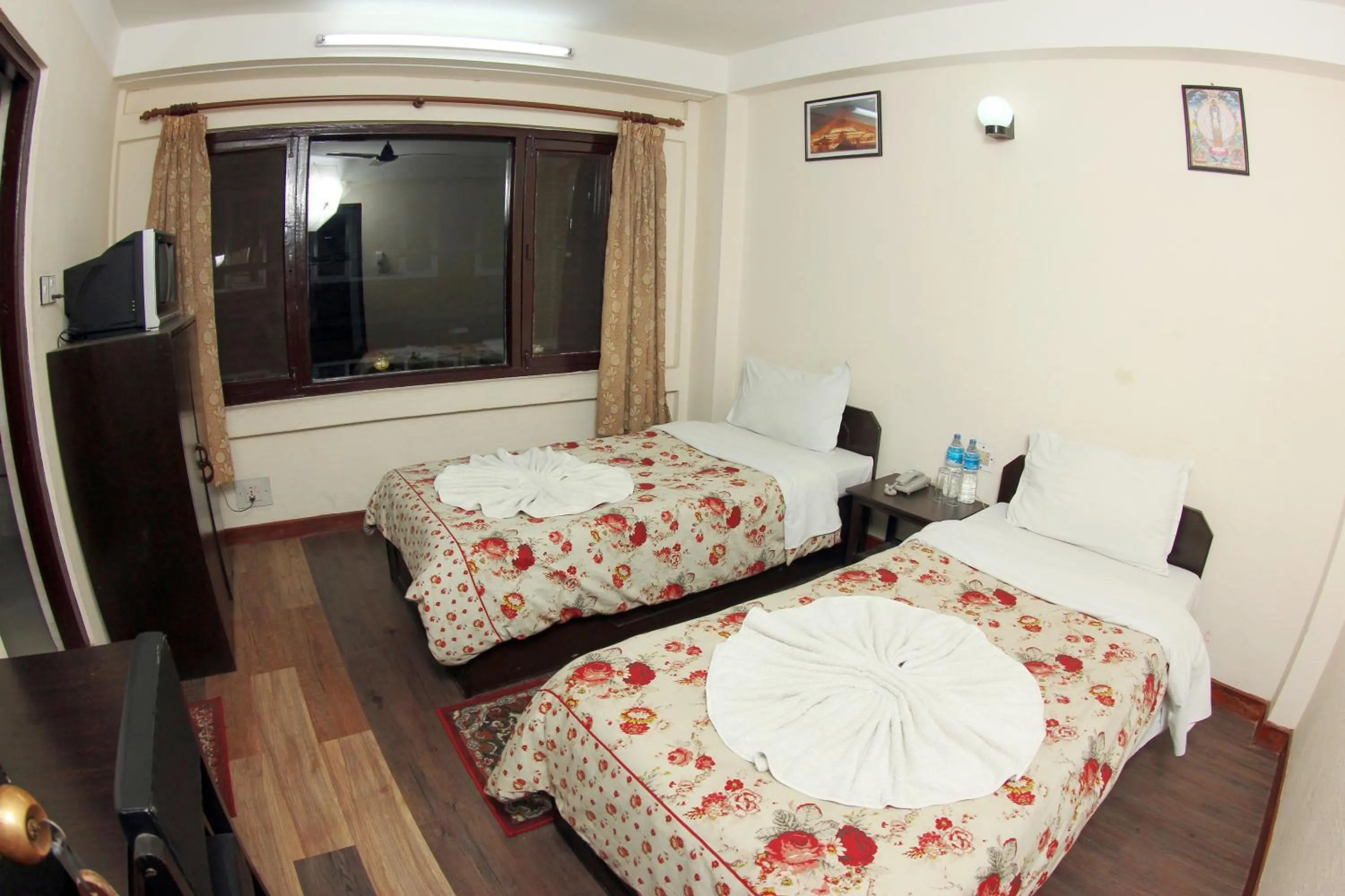 Photo of the whole room, Bed in Bag Packer's Lodge