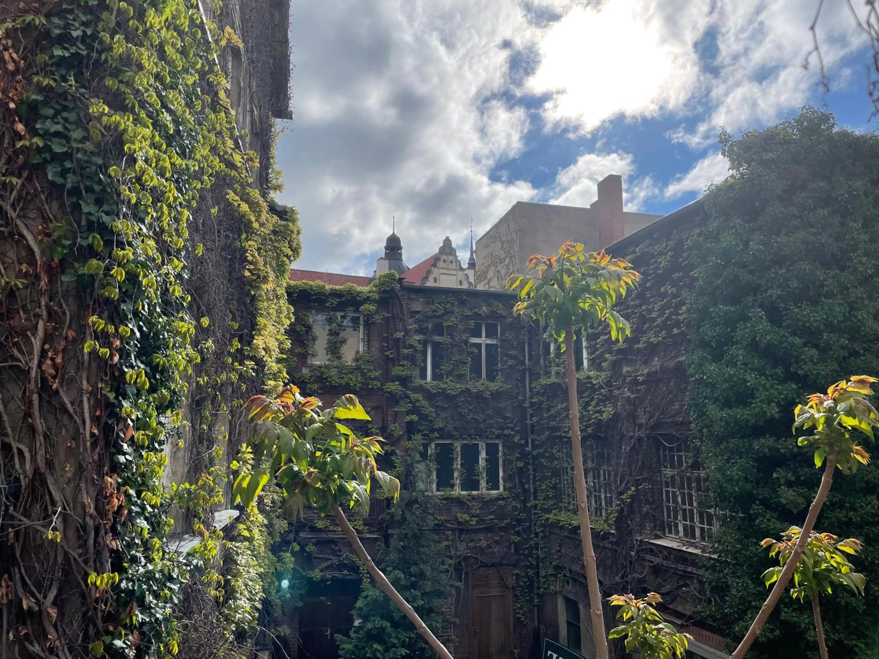 Bed in 4-Bed Mixed Dormitory Room in AM RATSHOF