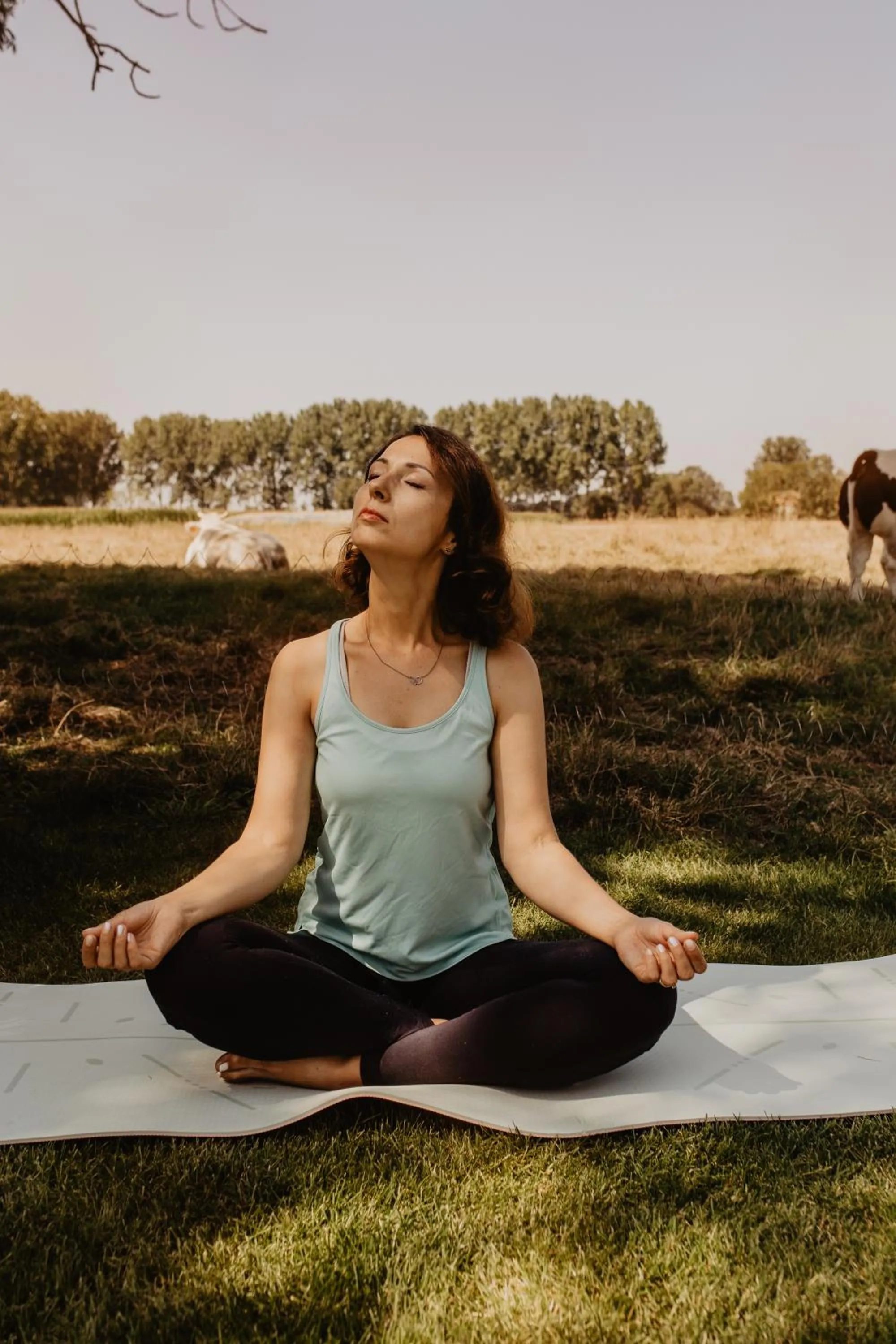 Natural landscape in Stil 1827