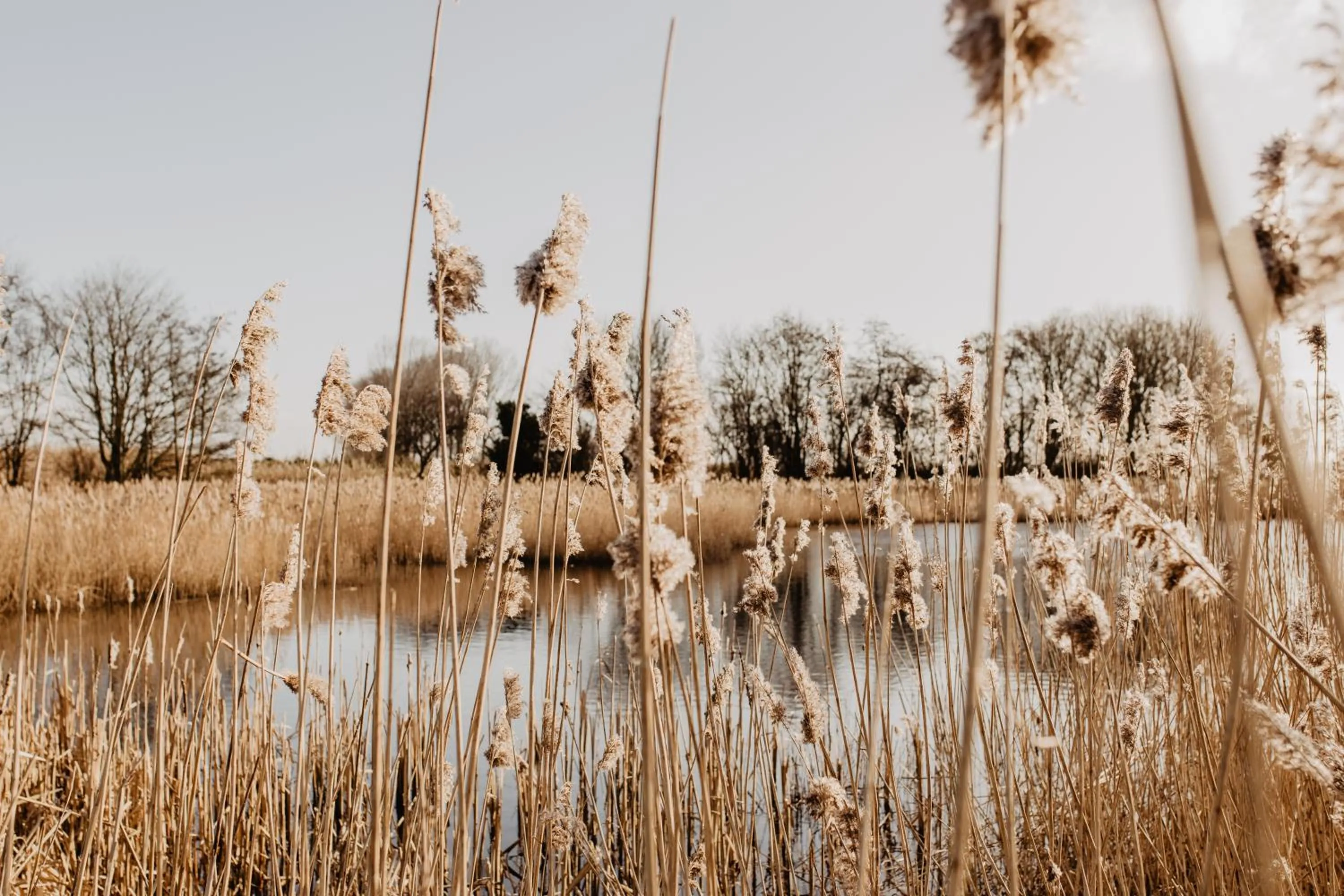 Neighbourhood in Stil 1827