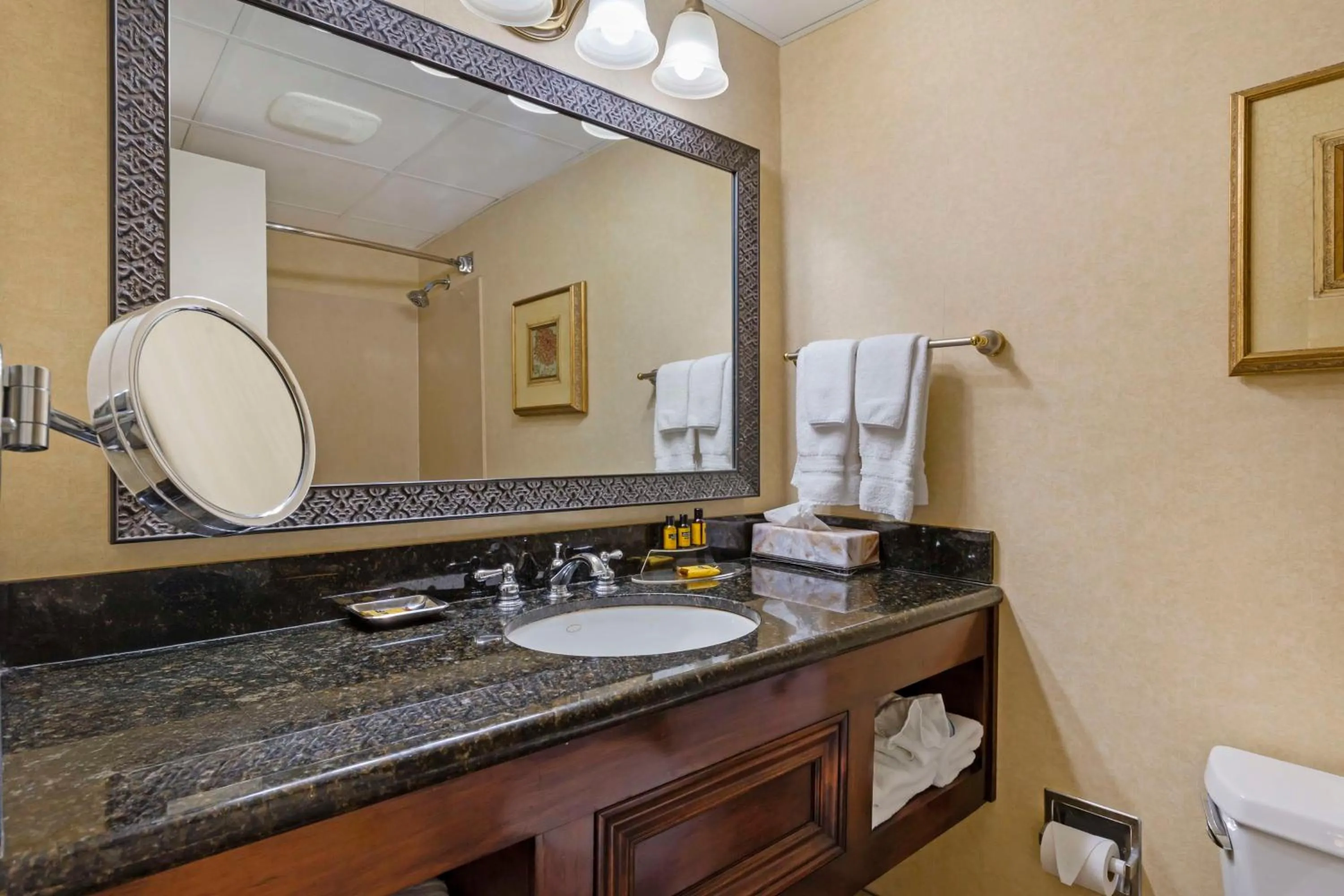 Bathroom in Best Western Plus Burlington