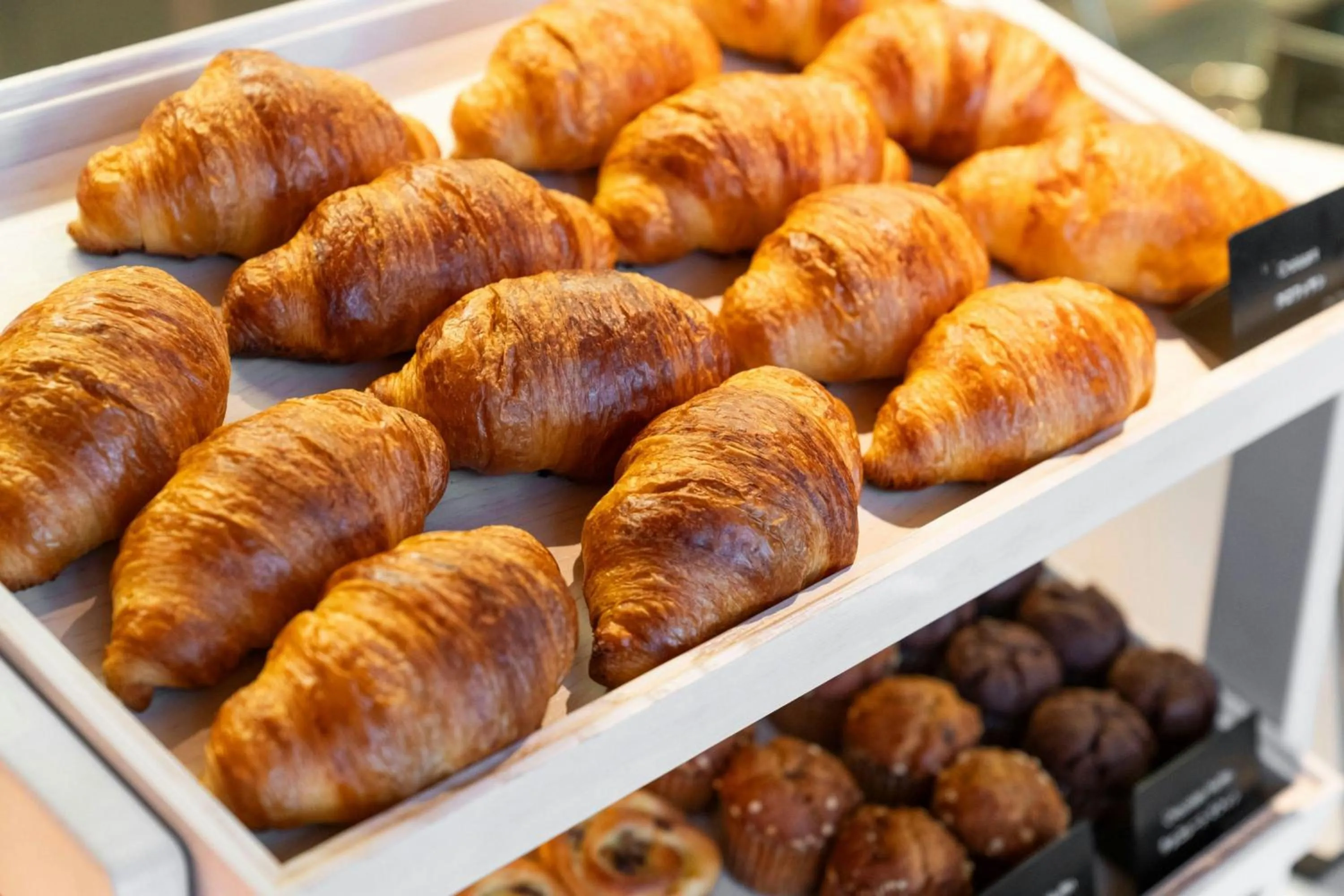 Restaurant/places to eat in Courtyard by Marriott Fukui