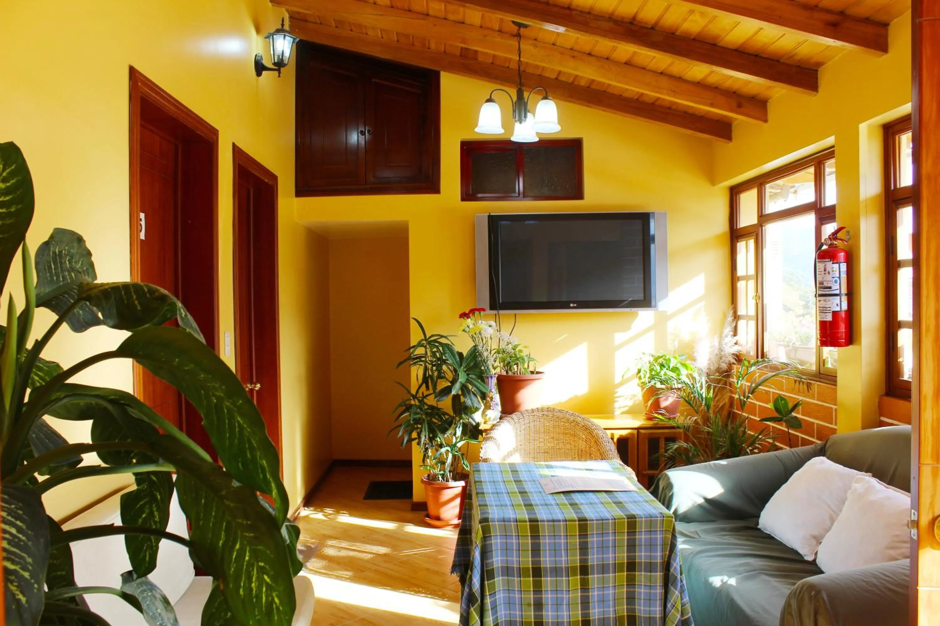 Living room in Casa de Luis