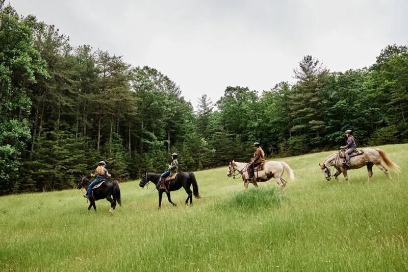 The Lodge at Primland, Auberge Collection