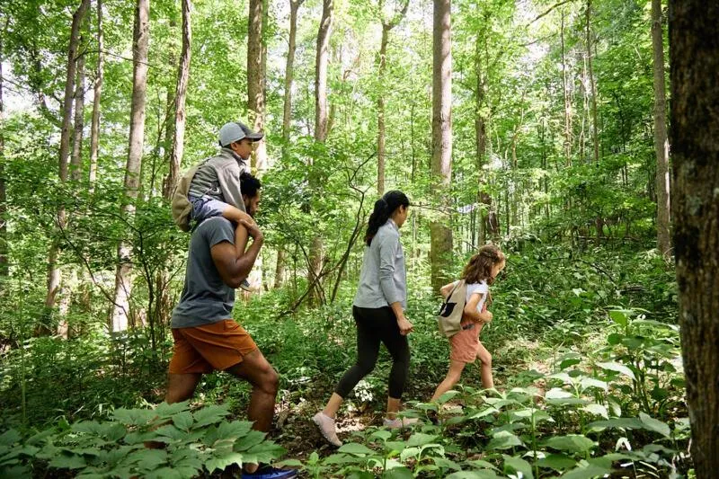 The Lodge at Primland, Auberge Collection