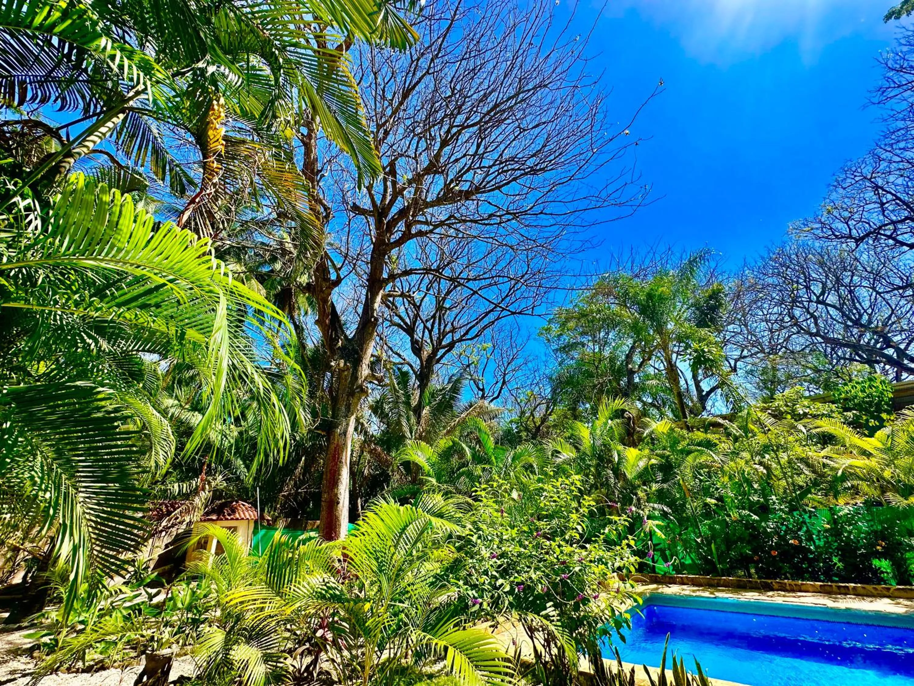 Pacifica Surf Studios