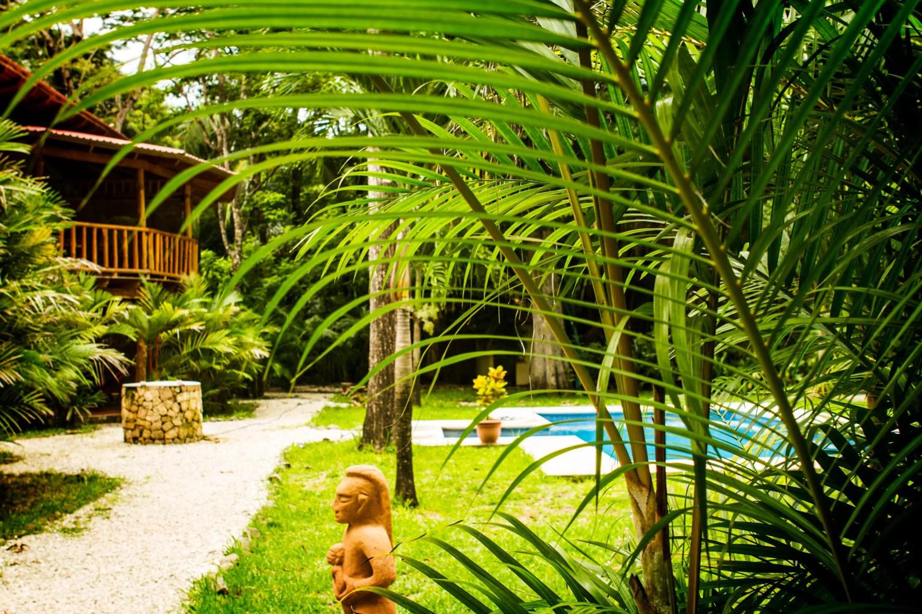 Swimming pool in Pacifica Surf Studios